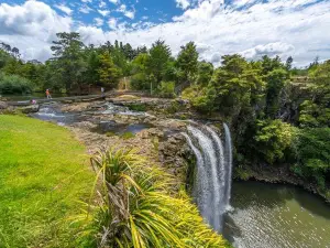 Whangarei Falls