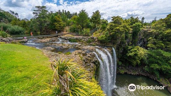 Whangarei Falls
