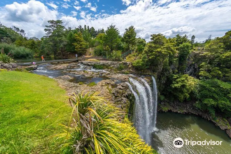 Whangarei Falls