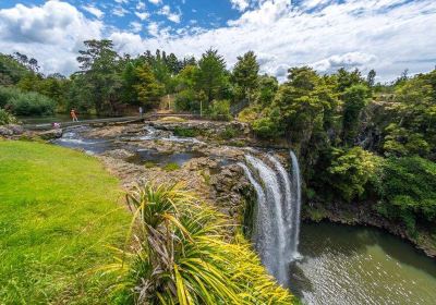 Whangarei Falls