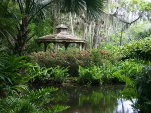 Washington Oaks Gardens State Park