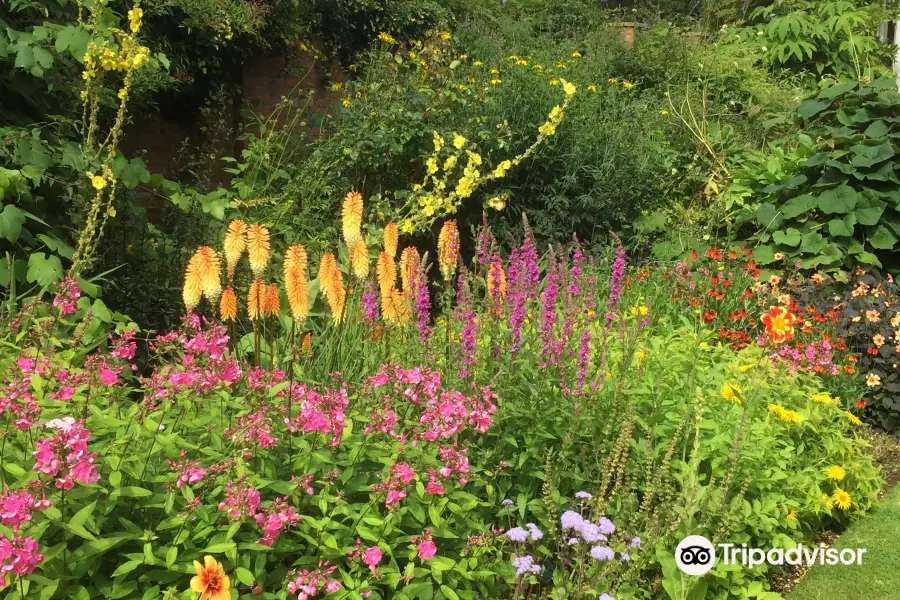 Hall Farm Garden