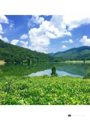 Martins Fork Lake