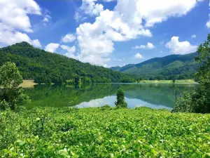 Martins Fork Lake
