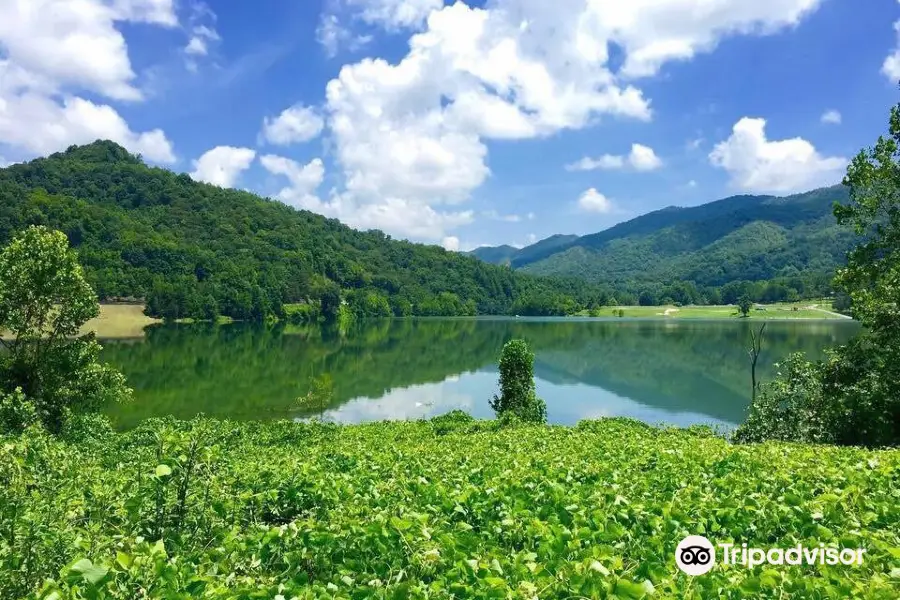 Martins Fork Lake