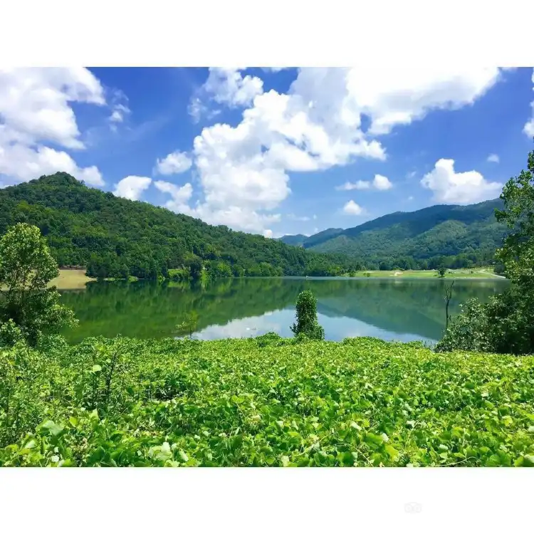 Harlan County