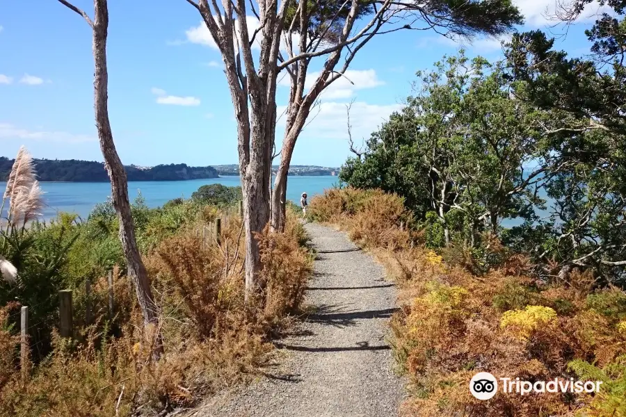 Okura Bush Walkway