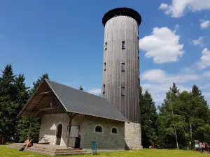 Borówkowa Góra