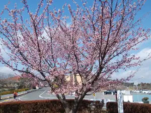 Hitachi Kamine Park