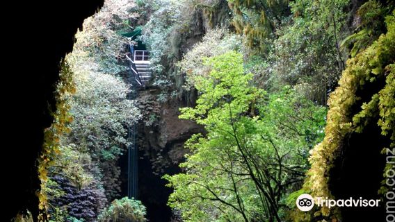 Waitomo Adventures Ltd