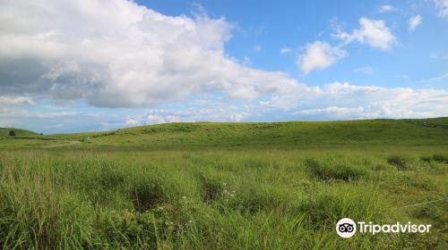 長野県霧ヶ峰自然保護センター