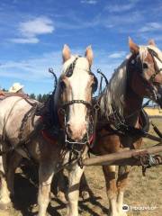 High Country Orchard - A Greenbluff Farm and Wedding Venue