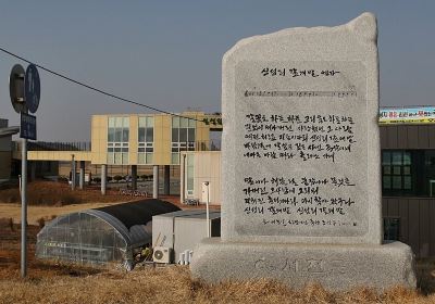 신성리 갈대밭