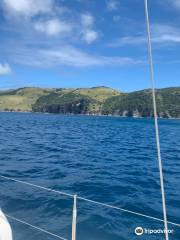 Leeward Islands Charters