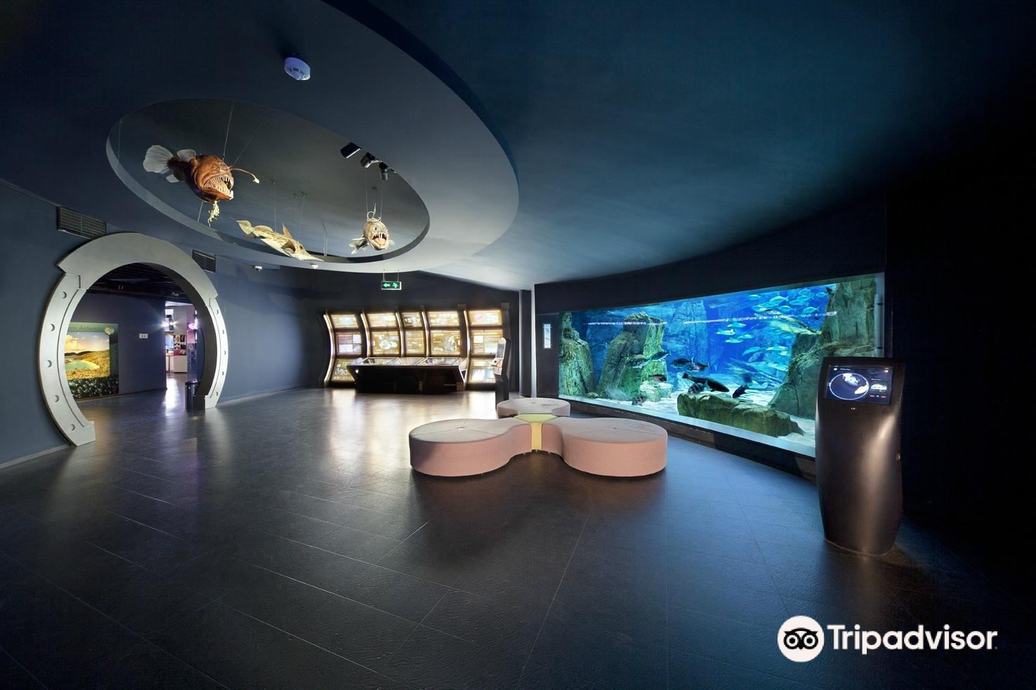 Popular Family-friendly Attractions in Istanbul