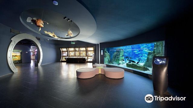 Istanbul Aquarium