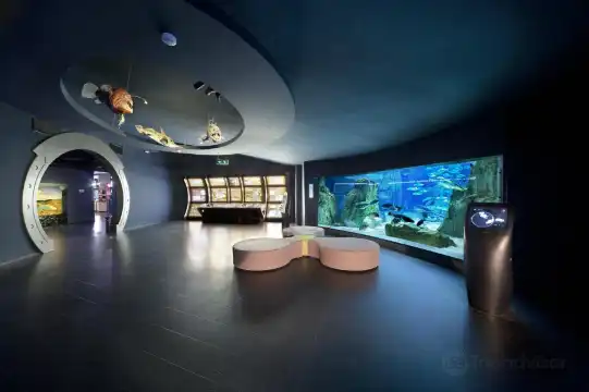 Hotels near أكواريوم إسطنبول