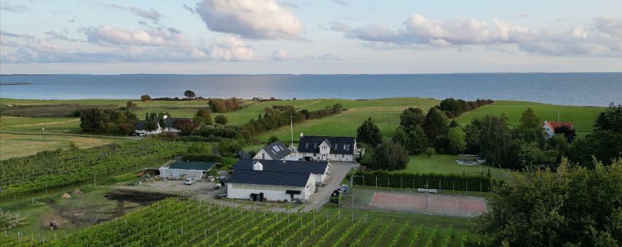 VESTERHAVE VINGAARD