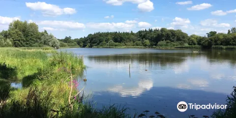Warnham Local Nature Reserve