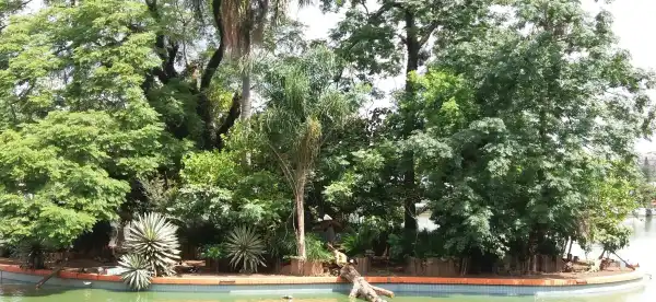 Pullman Properties in Guarulhos
