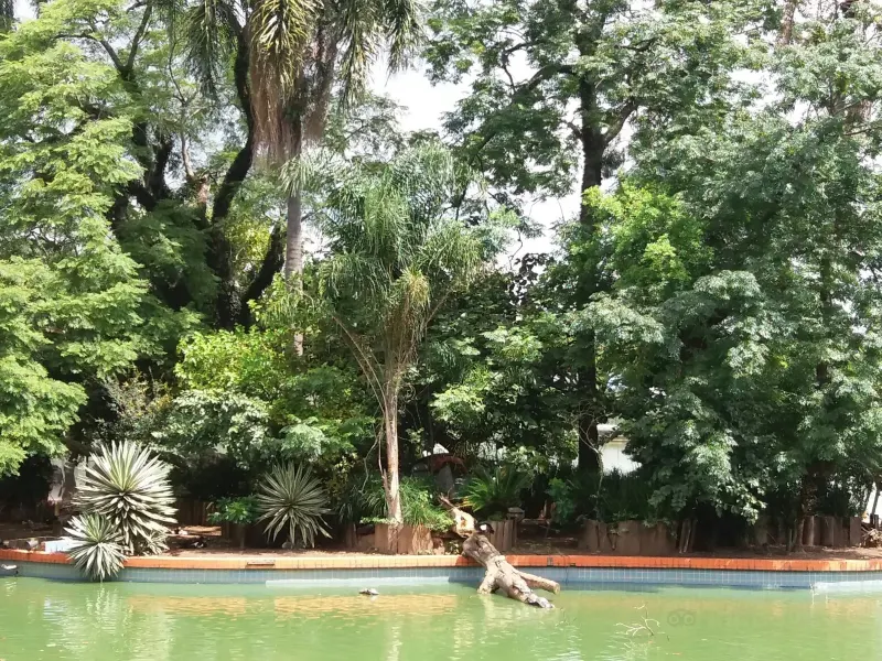 Guarulhos
