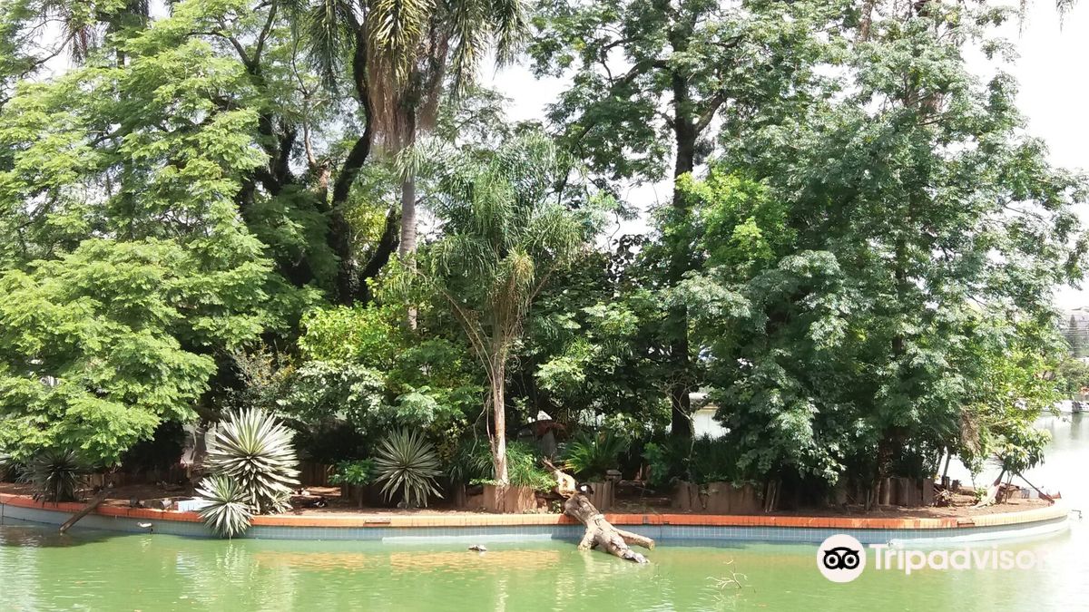 Lago Dos Patos