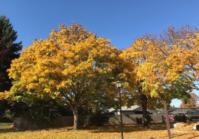 Maurie Jacobs Park