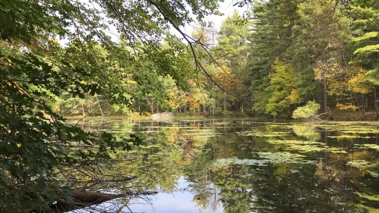 ハロルド・パーカー州立森林公園