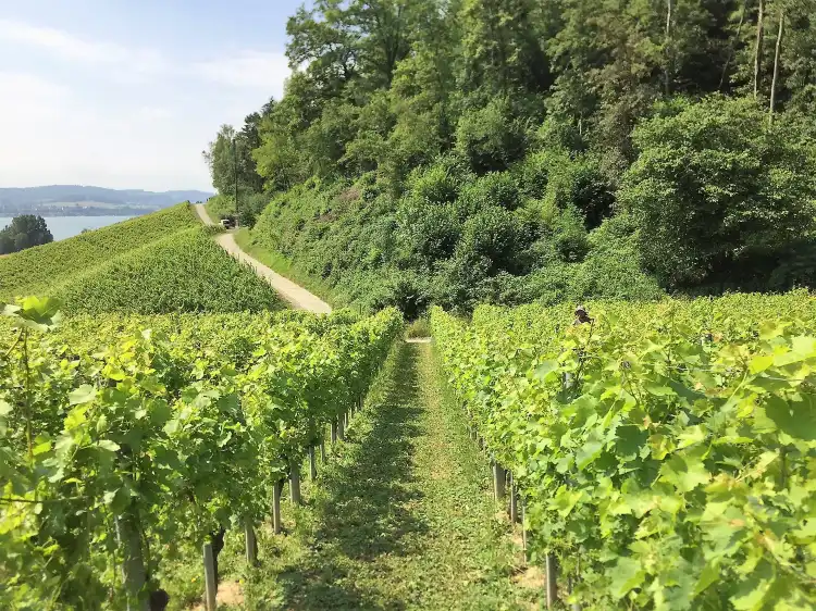 Hotels in Haut-Vully