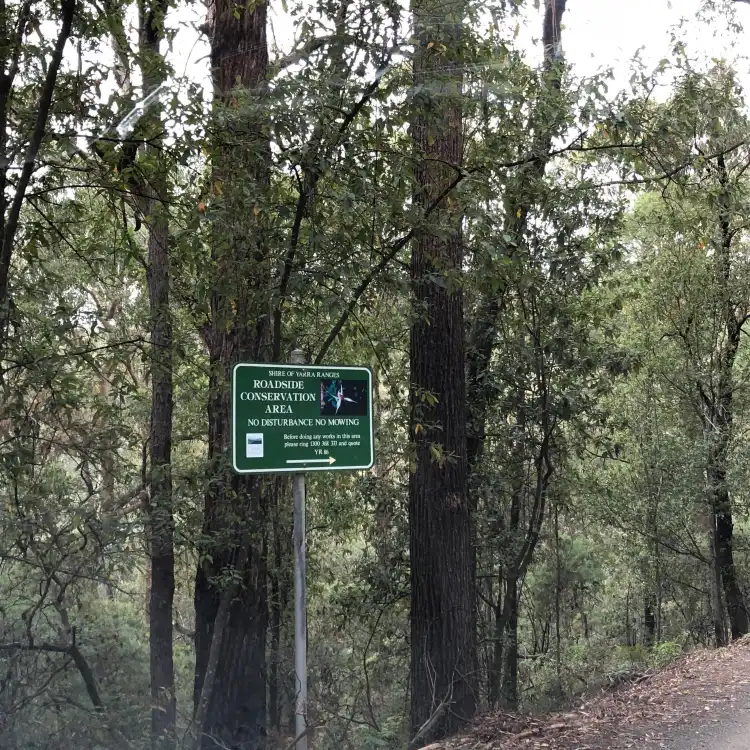 Hotels in Hoddles Creek