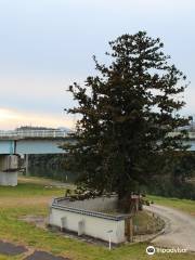 Tendaishumayumisankanze Temple