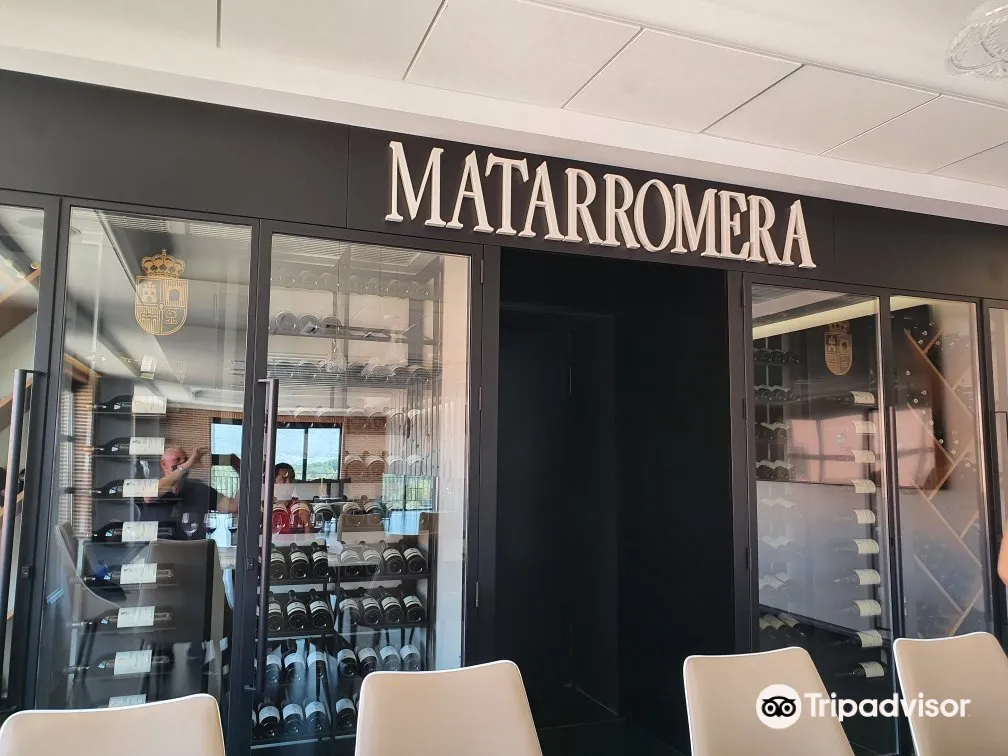 3_Bodega Matarromera