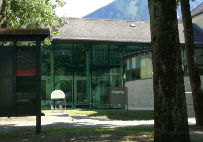 Schloss Ferlach Buechsenmacher und Jagdmuseum