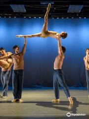 Ballet Idaho and Academy
