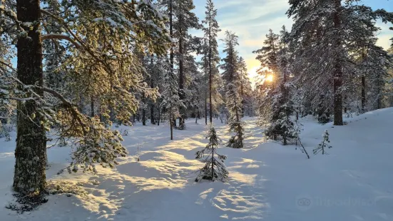 Skistar Sälen