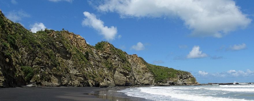 Waikawau