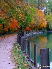 Silver Springs State Park