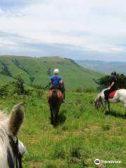 Stormy hill horse trails & Accommodation