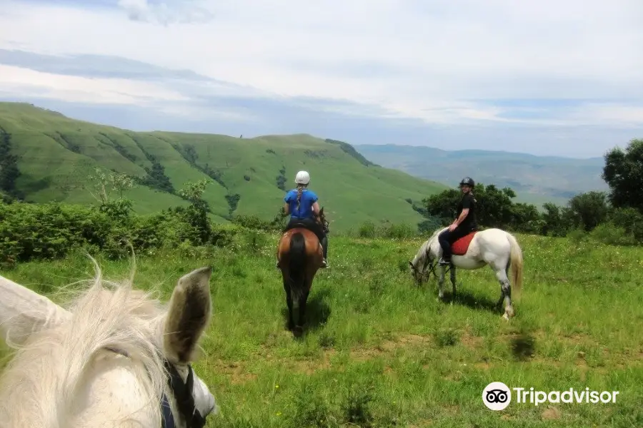 Stormy hill horse trails & Accommodation