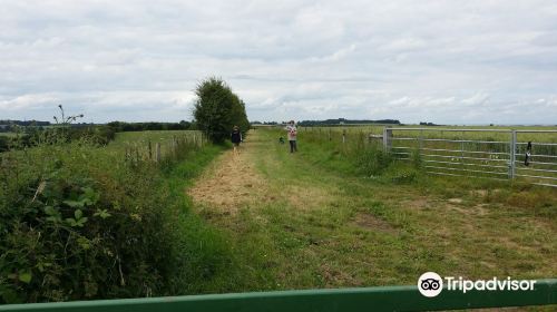 Towton Battlefield