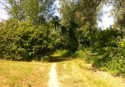 Area Naturalistica I Tre Scalini del Diavol