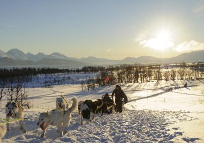 Tromso Wilderness Centre