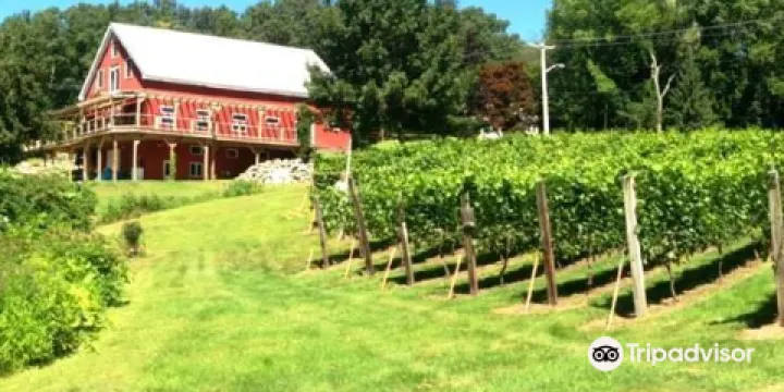Willow Spring Vineyards