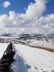 Footsteps in Northumberland