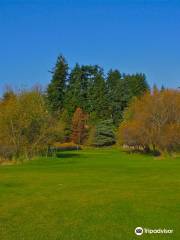 Birdies & Buckets Family Golf Centre