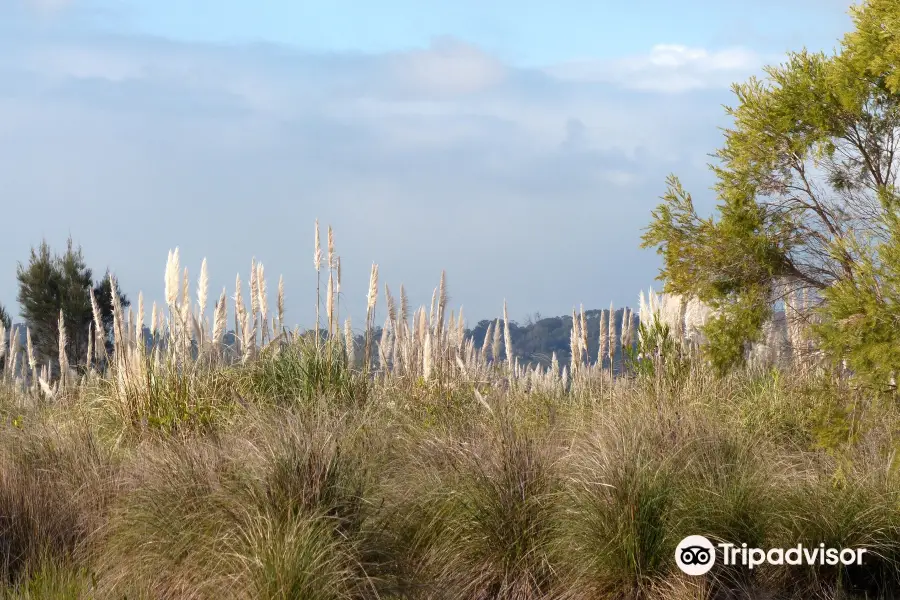 Lake Cooloongup Flora and Fauna Reserve