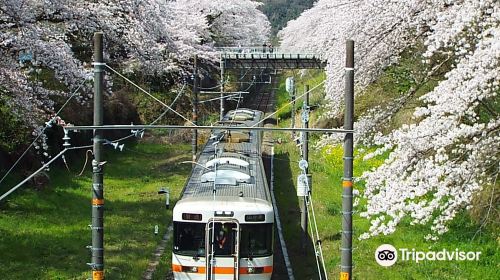 Yamakita Town Railway Park
