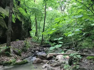 Парк штата Долливер Мемориал