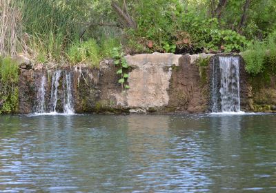 Santiago Oaks Regional Park