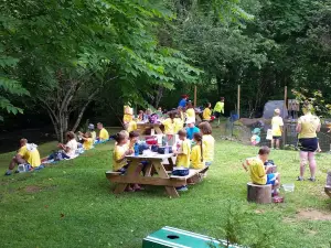 Pisgah Forest Gem Mine
